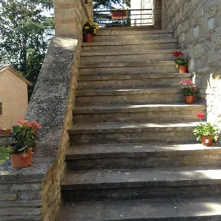Il Pioppo Antico Assisi