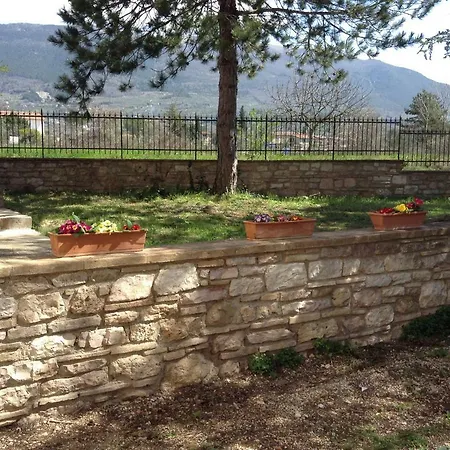 Il Pioppo Antico *