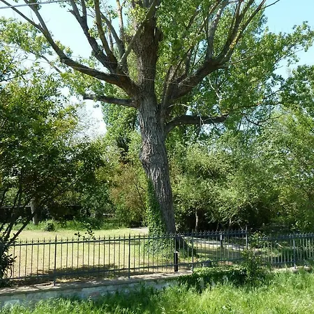 Ferienhaus Il Pioppo Antico