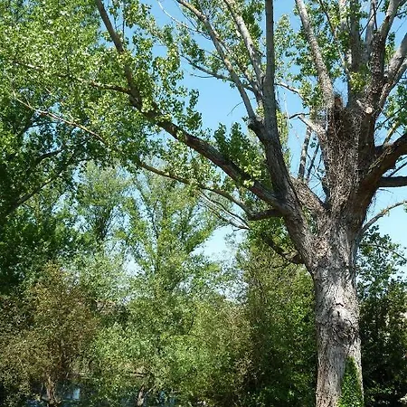 Il Pioppo Antico Ferienhaus *
